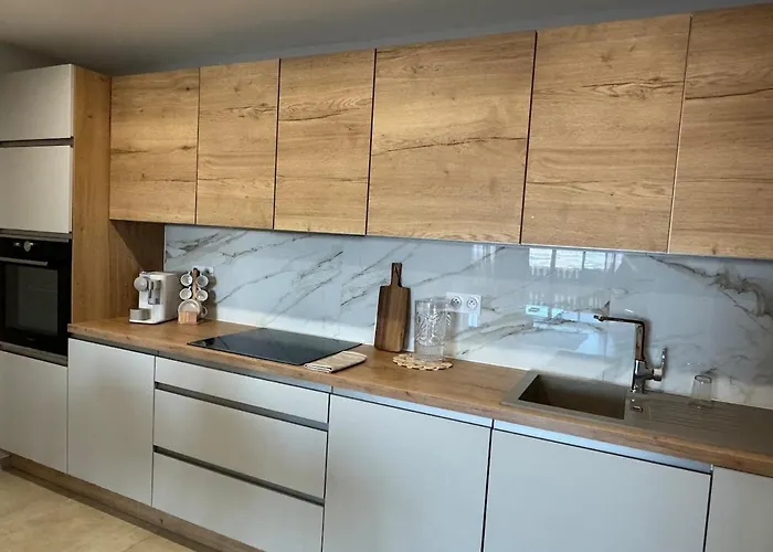 Lägenhet Vue Et Montagne